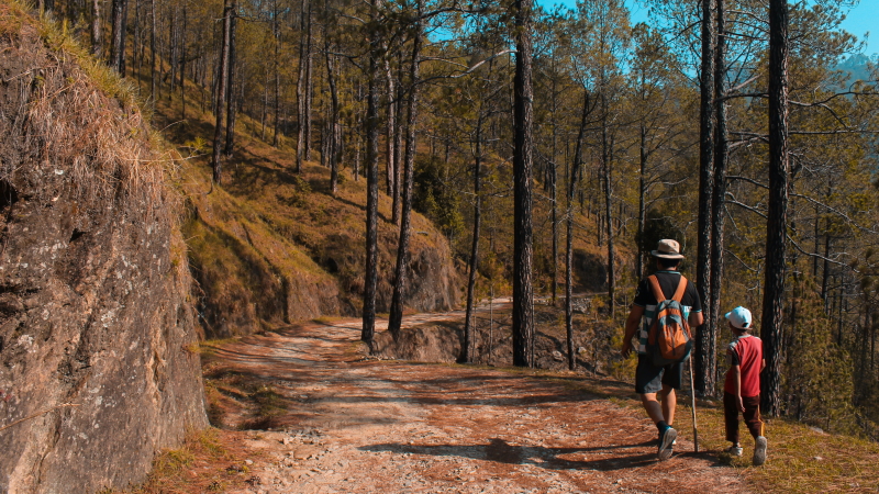 Best Cardio Workout - Hiking - Mountain Climbing